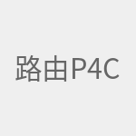 路由p4c